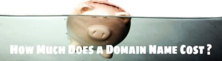 The Cost Of Domain Name – 3 Things to Consider ! How Much Does a Domain Name Cost