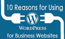 10 Reasons for Using WordPress for Business Websites wordpress hosting for business