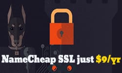 Get SSL encryption on your site for only $9/yr at NameCheap namecheap ssl promotion 9usd