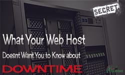 What Your Web Host Will Not Tell You About Downtime why your website is downtime
