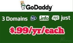 godaddy-biz-xyz-info-99-cent-promotion