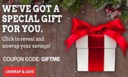 20off domain promo code