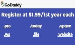 godaddy $1.99 flash sale