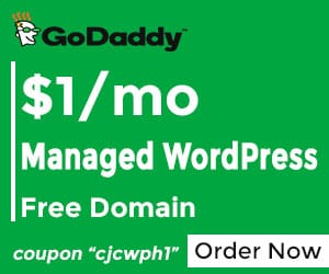 Godaddy discount domain club coupon