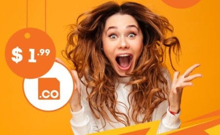 epik $1.99 .CO offer